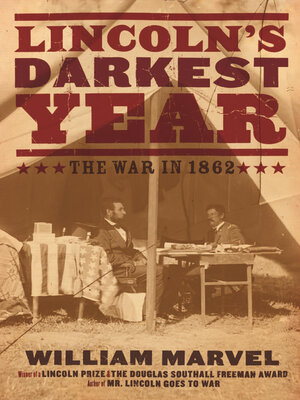 cover image of Lincoln's Darkest Year